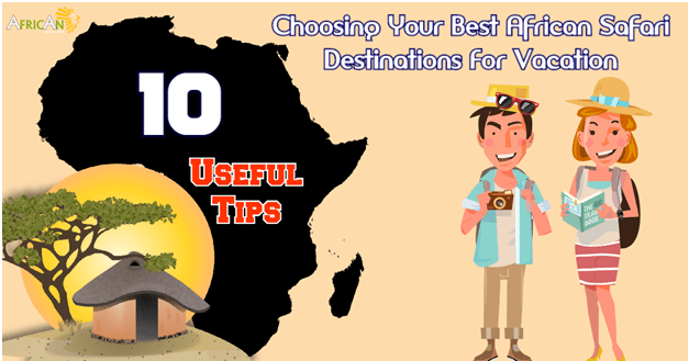 African Safari Destination