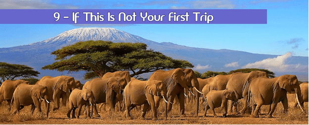 African Safari Tips 9