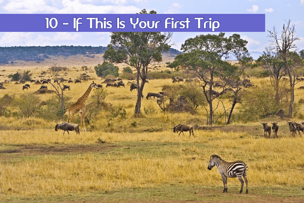 African Safari Tips