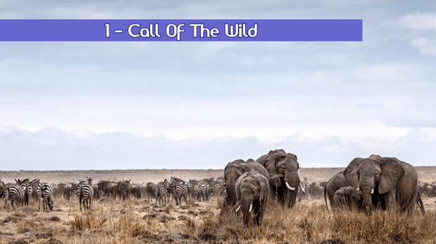 Call Of The Wild