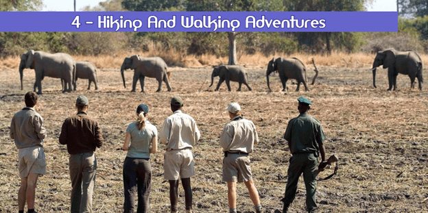 Hiking and Walking Adventure
