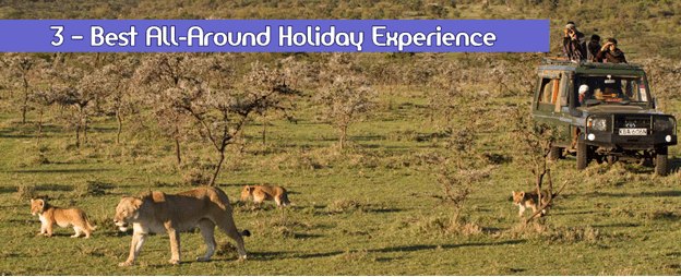 Holiday Experience