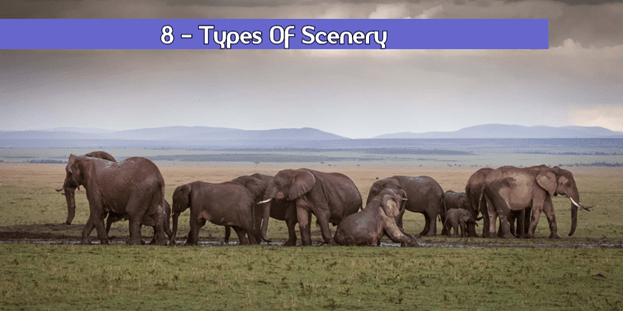 Types Of Scenery